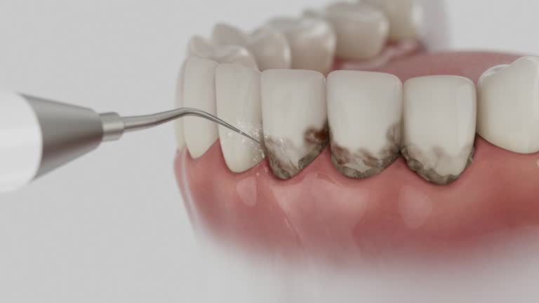 Reliable Dental contractor in Mason, MI by Dentist Open Now